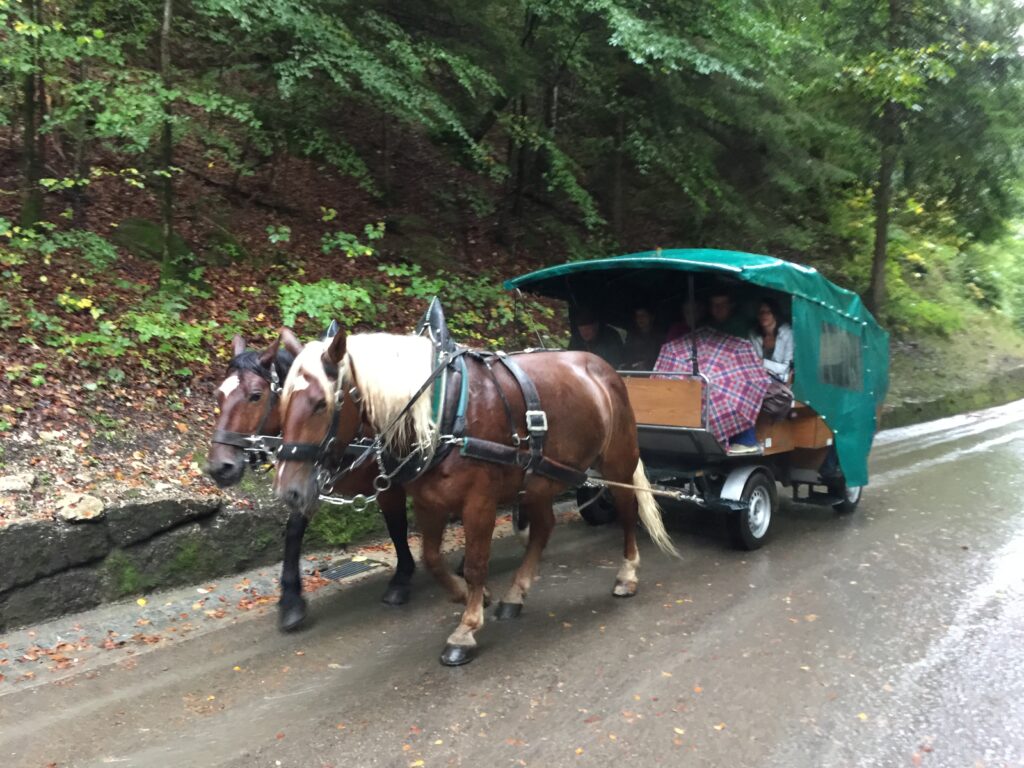 馬車に乗って山頂の城を目指す人